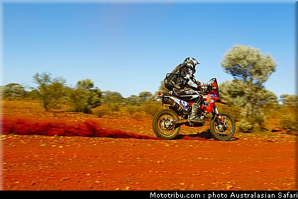australasian_safari_fish_06_2010.jpg