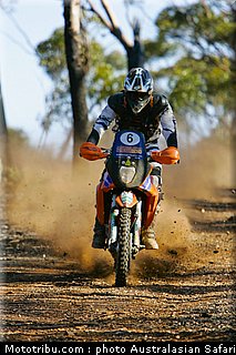 australasian_safari_fish_08_2010.jpg