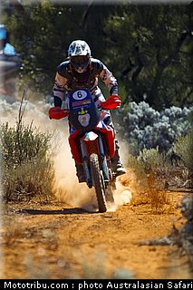 australasian_safari_fish_09_2010.jpg