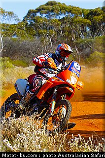 australasian_safari_graham_10_2010.jpg