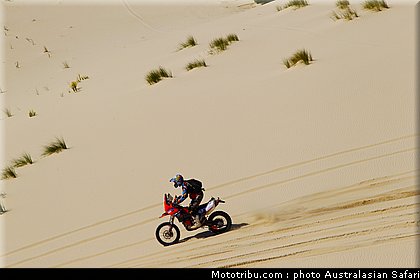 australasian_safari_graham_14_2010.jpg