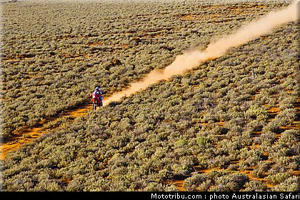australasian_safari_graham_17_2010.jpg