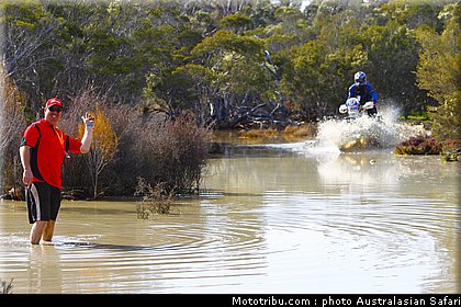 australasian_safari_grant_3_2010.jpg