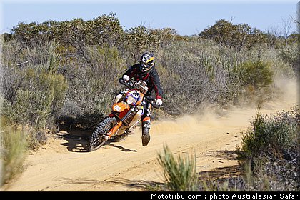 australasian_safari_nelligan_1_2010.jpg