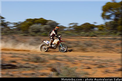 australasian_safari_petrig_2010.jpg