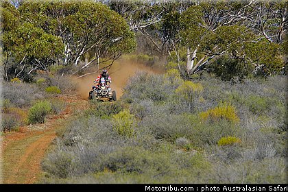 australasian_safari_quad_026_2010.jpg