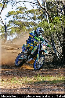 australasian_safari_rodrigues_3_2010.jpg