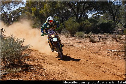 australasian_safari_rodrigues_6_2010.jpg