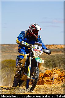 australasian_safari_schwarz_6_2010.jpg