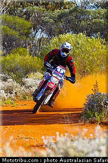 australasian_safari_smith_j_09_2010.jpg