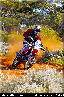 australasian_safari_smith_j_10_2010.jpg