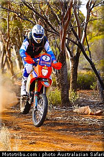 australasian_safari_smith_t_06_2010.jpg