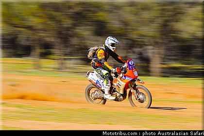 australasian_safari_smith_t_09_2010.jpg