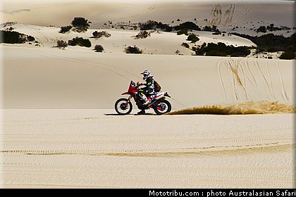 australasian_safari_smith_t_15_2010.jpg