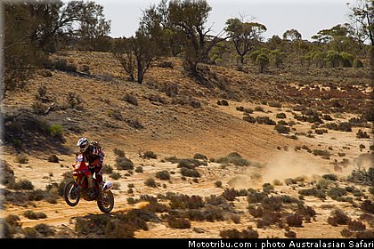 australasian_safari_smith_t_17_2010.jpg