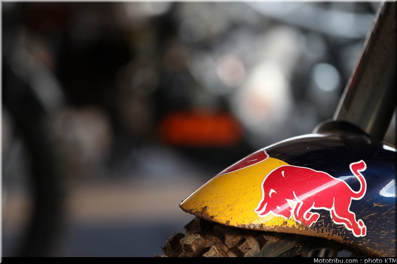 despres_17_ktm_preparation_dakar_2012