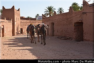 ambiance_004_rallye_du_maroc_2012.jpg