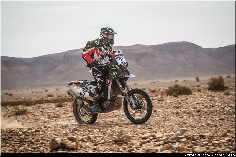 fish_008_rallye_du_maroc_2012