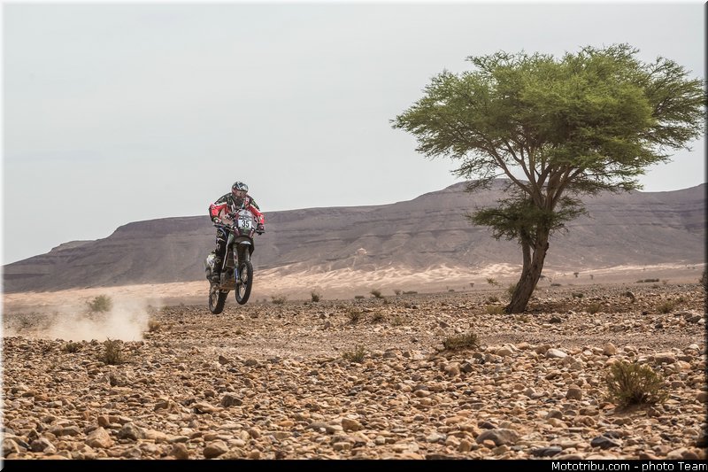 fish_009_rallye_du_maroc_2012