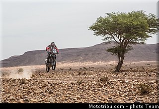 fish_009_rallye_du_maroc_2012.jpg