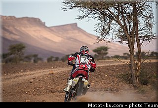 goncalves_014_rallye_du_maroc_2012.jpg
