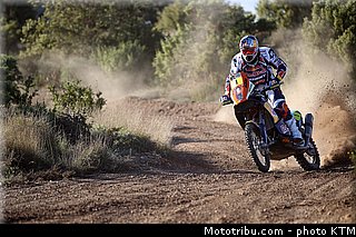 despres_15_team_ktm_dakar_2013.jpg