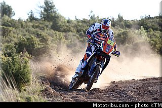 despres_16_team_ktm_dakar_2013.jpg