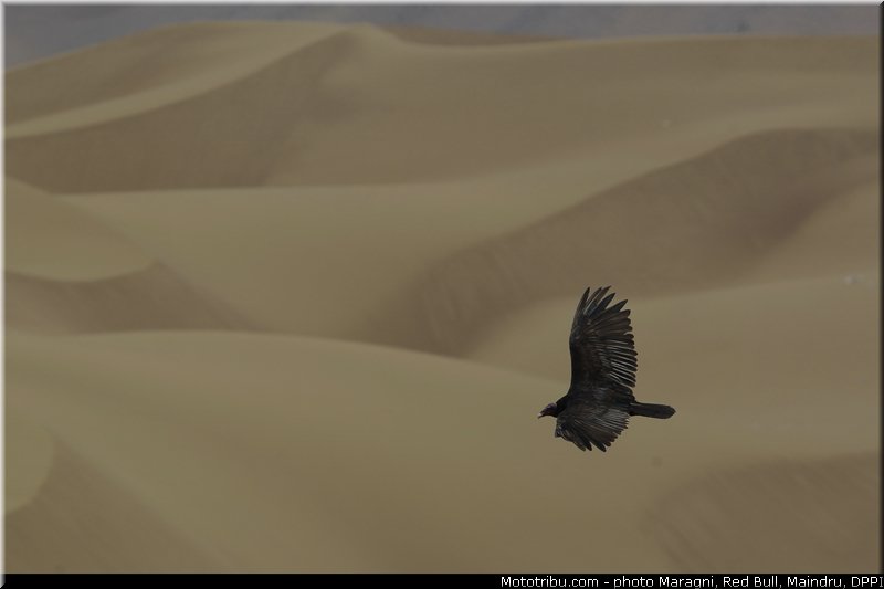 0035_dakar_2013