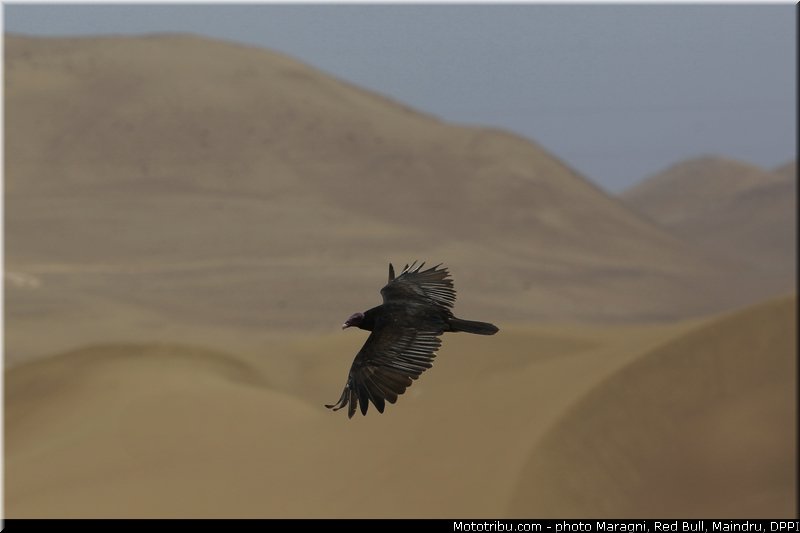 0036_dakar_2013