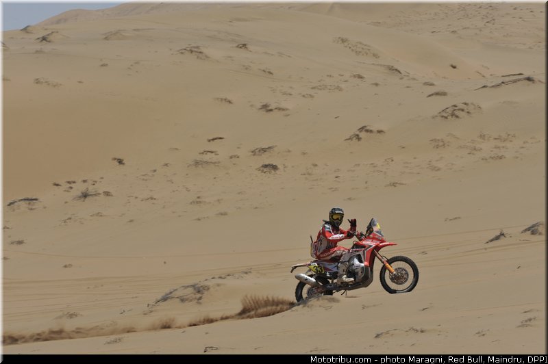 campbell_0008_dakar_2013