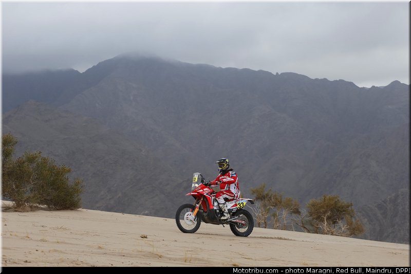campbell_0033_dakar_2013
