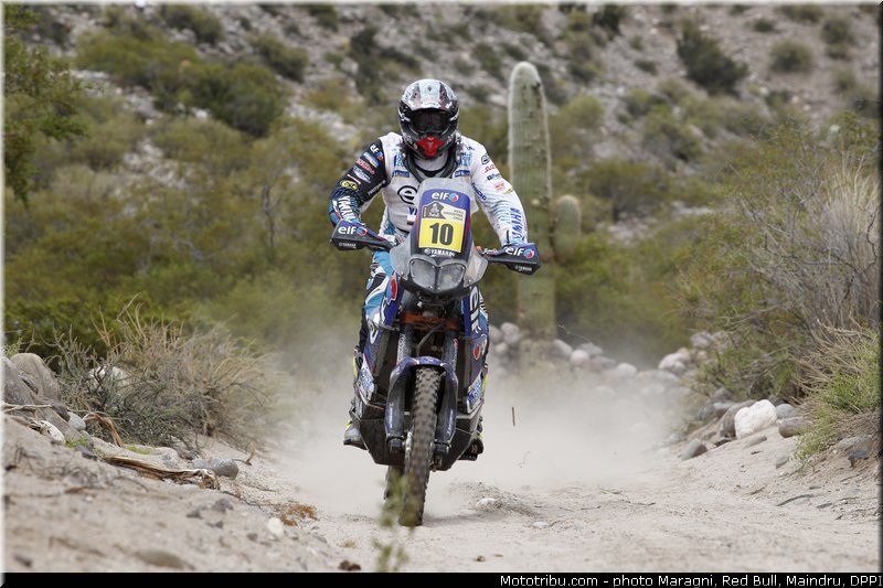 casteu_0007_dakar_2013