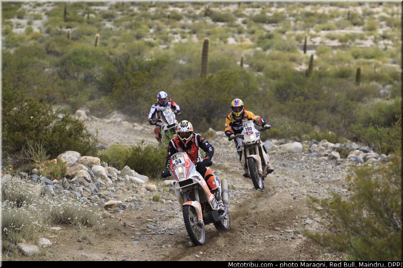 cavelius_sarmiento_aguilar_0001_dakar_2013