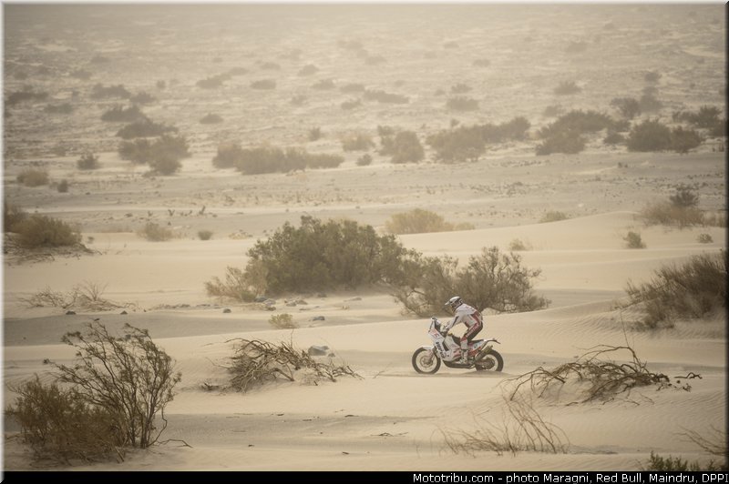 dabrowski_0003_dakar_2013