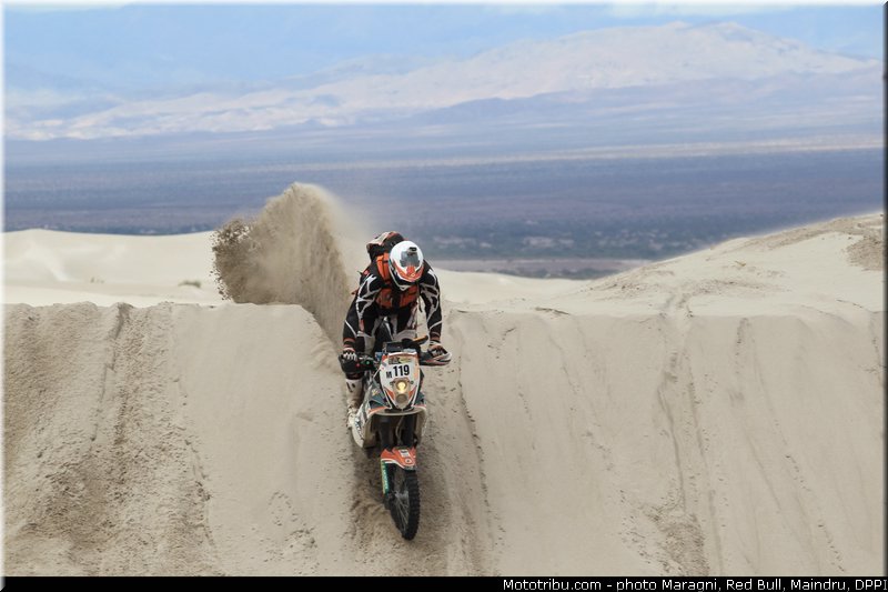 despontin_0001_dakar_2013