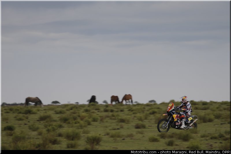 despres_0065_dakar_2013
