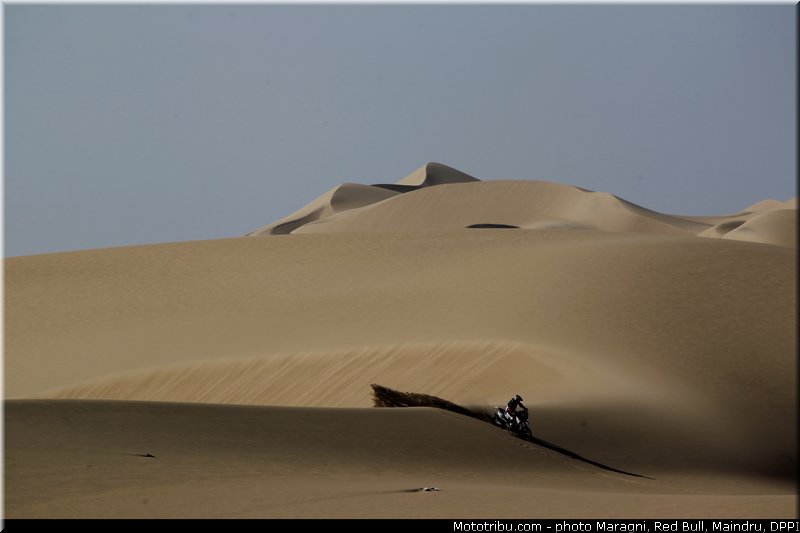fish_0001_dakar_2013