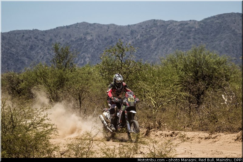 fish_0007_dakar_2013