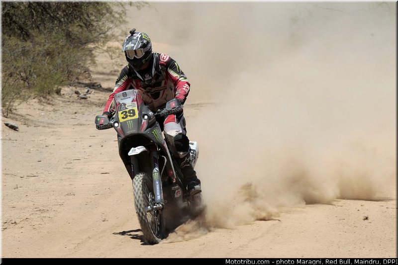 fish_0009_dakar_2013