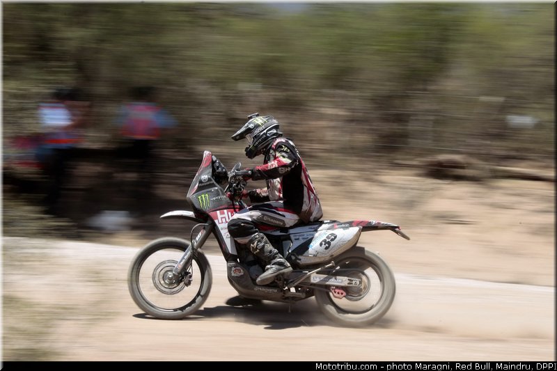 fish_0010_dakar_2013
