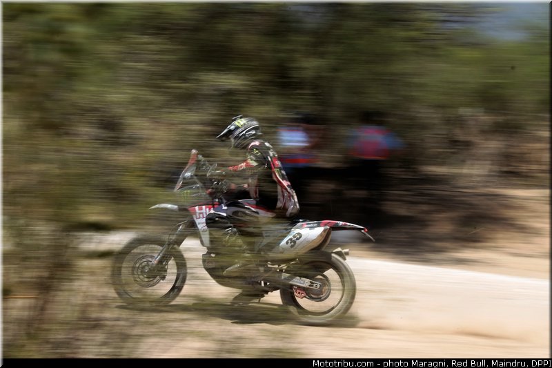 fish_0011_dakar_2013
