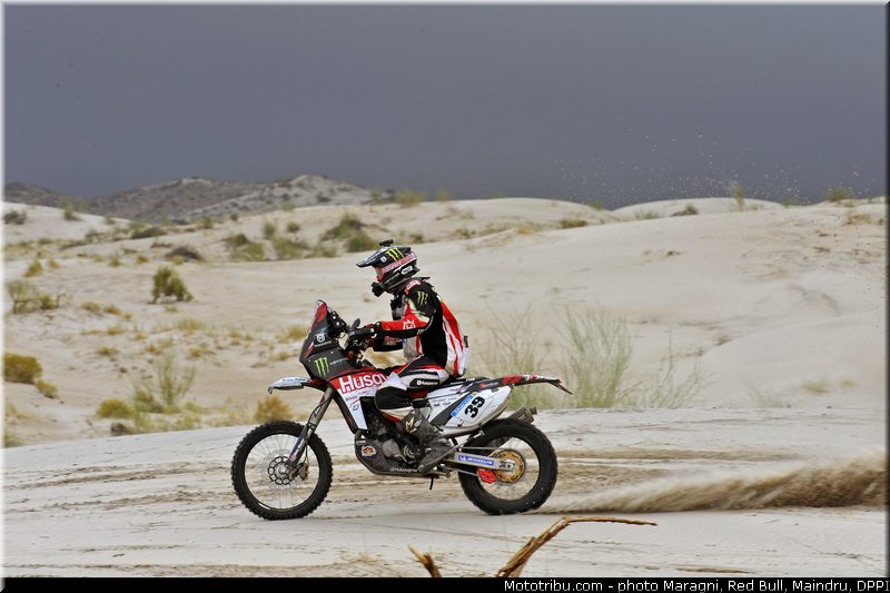 fish_0012_dakar_2013