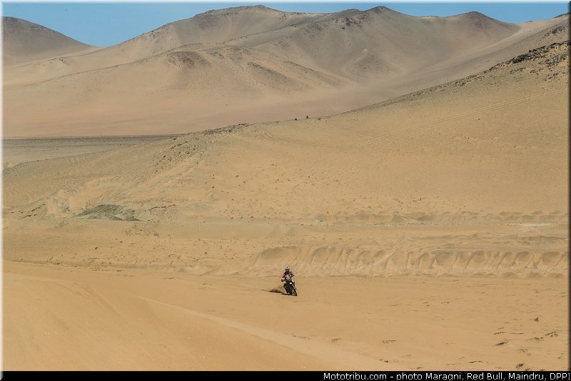 fish_0014_dakar_2013
