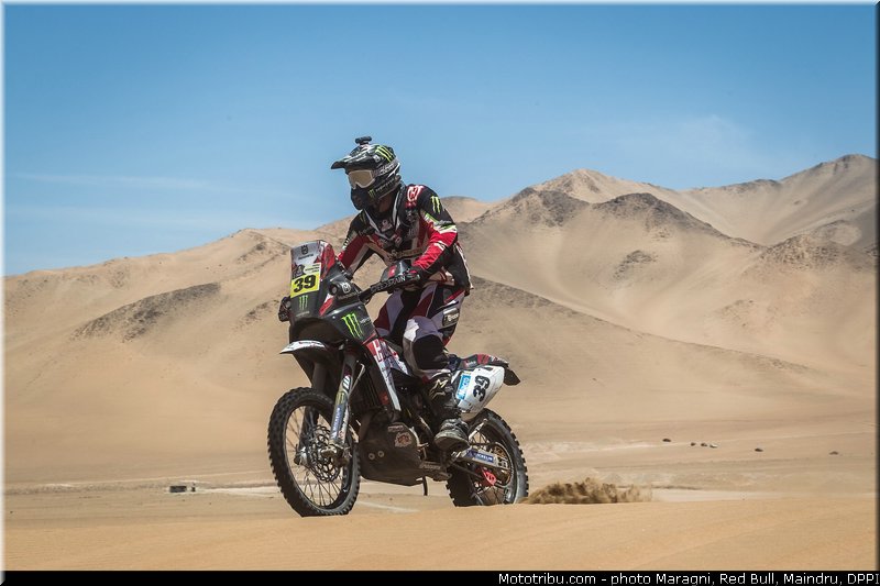 fish_0015_dakar_2013