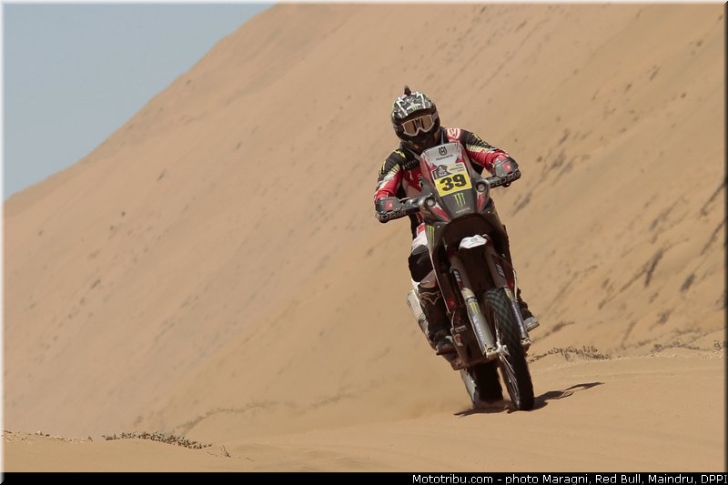 fish_0016_dakar_2013