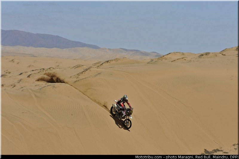 fish_0017_dakar_2013