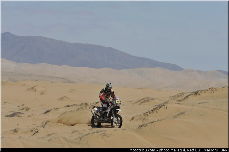 fish_0018_dakar_2013