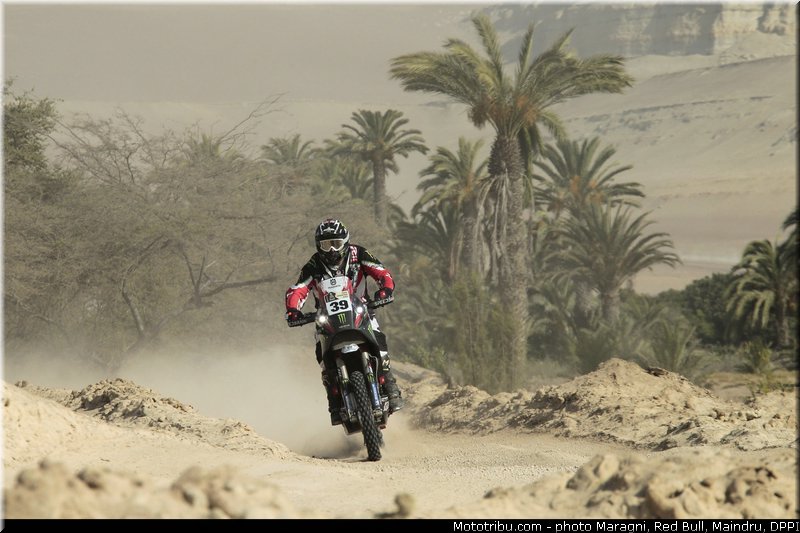 fish_0026_dakar_2013