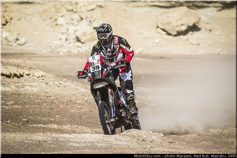 fish_0027_dakar_2013