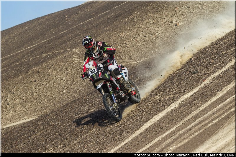 fish_0028_dakar_2013